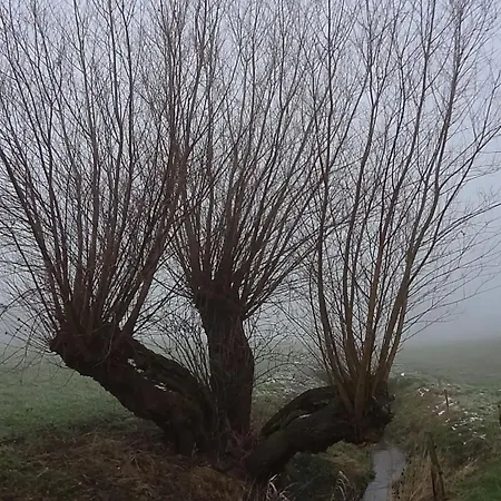 Hansen Auf B&B 페마른