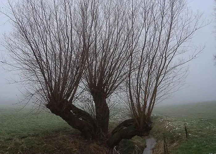 Hansen Auf Bed & Breakfast